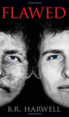 Cover of Flawed