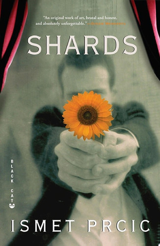Cover of Shards