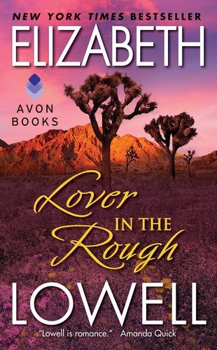 Cover of Lover in the Rough