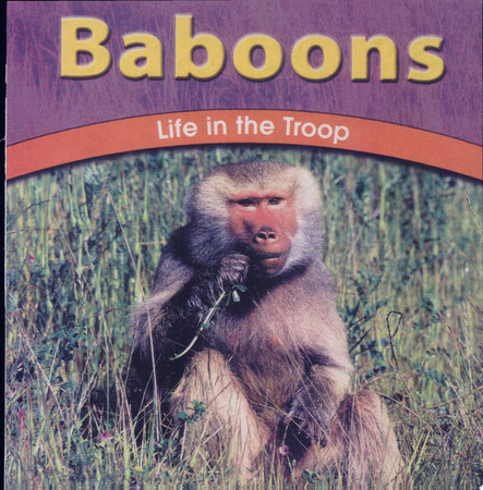 Cover of Baboons: Life in the Troop