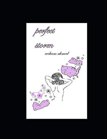Cover of Perfect Storm
