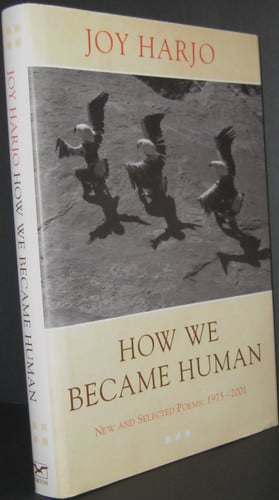 Cover of How We Became Human