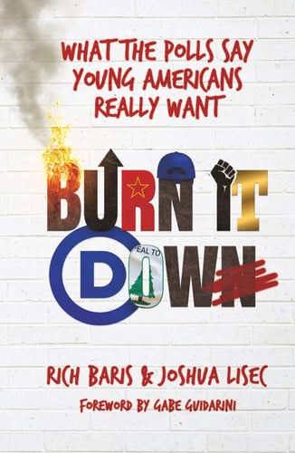 Cover of Burn It Down: What the Polls Say Young Americans Really Want