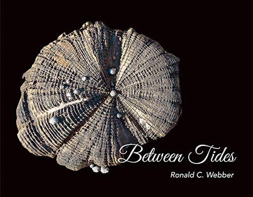 Cover of Between Tides