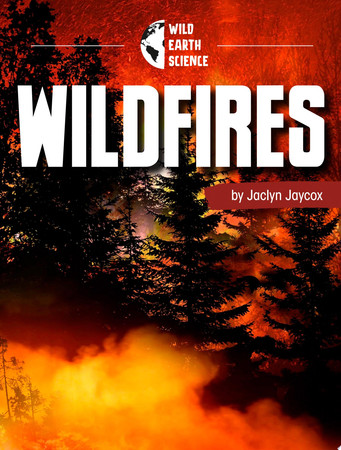 Cover of Wildfires