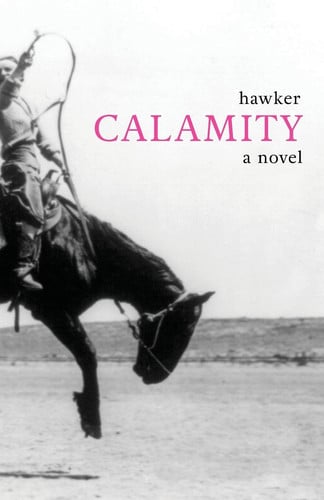 Cover of Calamity