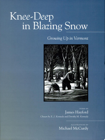 Cover of Knee-deep in Blazing Snow