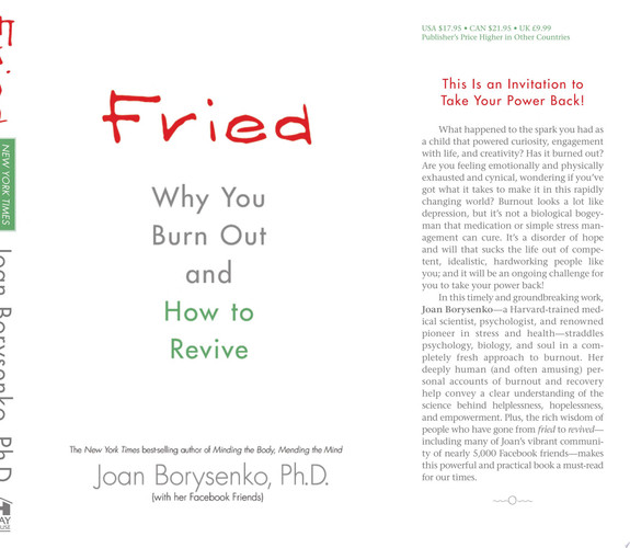 Cover of Fried