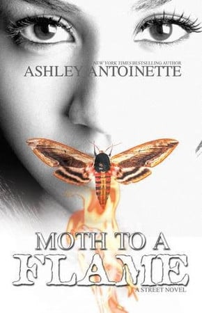 Cover of Moth to a Flame