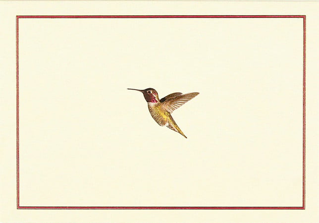 Cover of Hummingbird Flight Note Cards (Stationery, Boxed Cards).