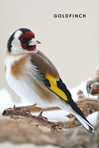 Cover of Goldfinch