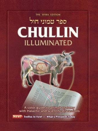 Cover of Sefer Ṭemune Ḥol