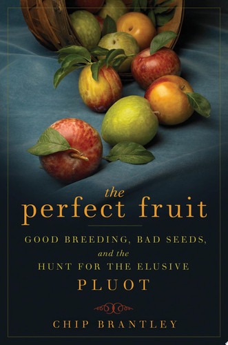 Cover of The Perfect Fruit