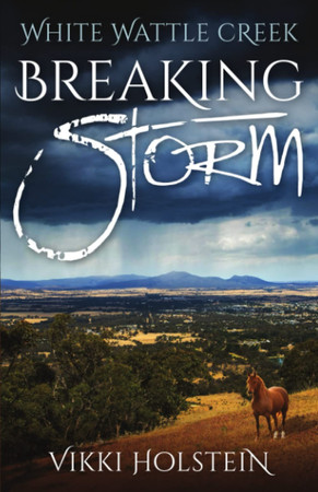 Cover of Breaking Storm