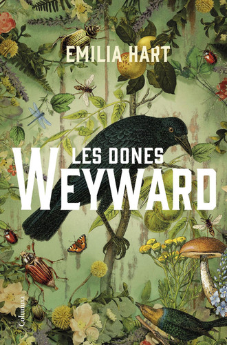 Cover of Les Dones Weyward