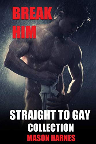 Cover of Break Him: Straight To Gay Collection