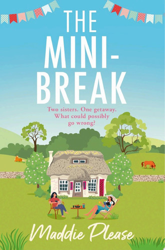 Cover of The Mini-break