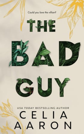 Cover of The Bad Guy
