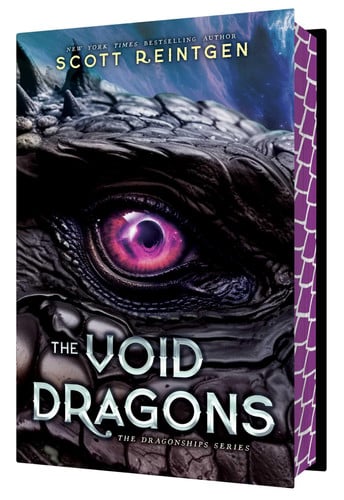 Cover of The Void Dragons
