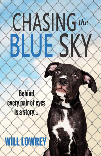 Cover of Chasing the Blue Sky