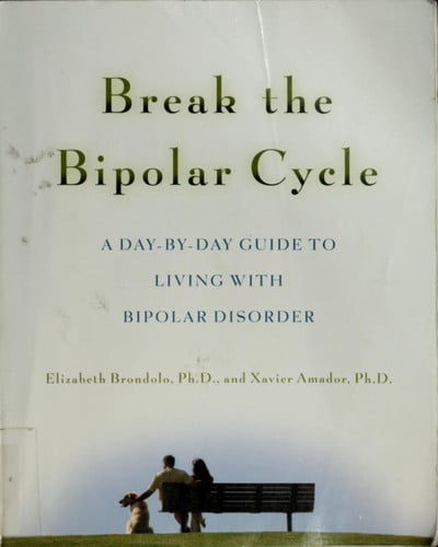 Cover of Break the Bipolar Cycle