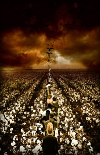Cover of White Onxy