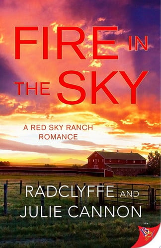 Cover of Fire in the Sky