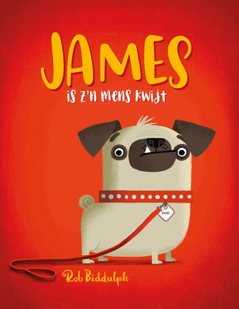 Cover of James Is Z'n Mens Kwijt