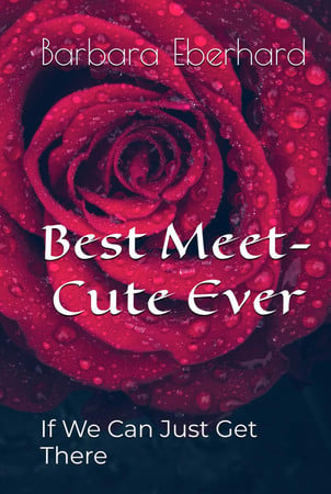 Cover of Best Meet-Cute Ever: If We Can Just Get There