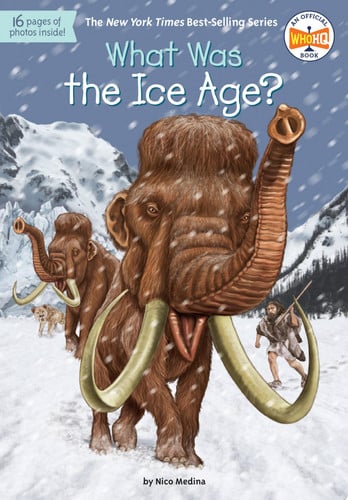 Cover of What Was the Ice Age?