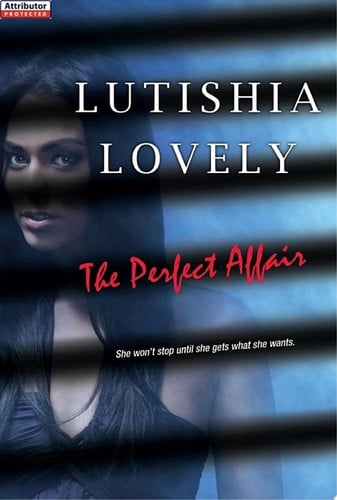 Cover of Perfect Affair