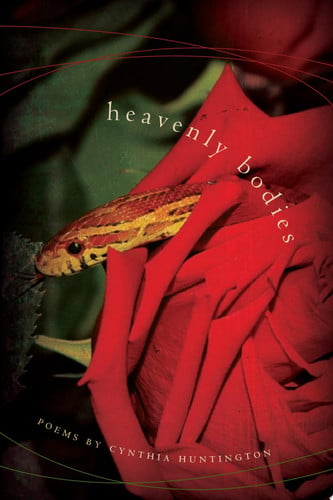 Cover of Heavenly Bodies