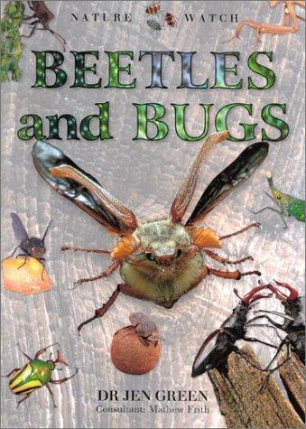 Cover of Beetles & Bugs (Nature Watch (Lorenz))