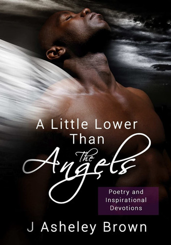 Cover of Little Lower Than the Angels