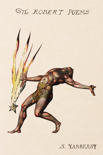 Cover of The Robert Poems