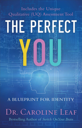 Cover of The Perfect You: A Blueprint for Identity