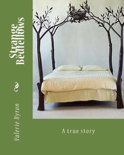 Cover of Strange Bedfellows