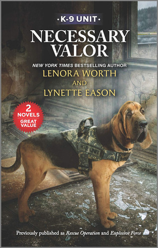 Cover of Necessary Valor