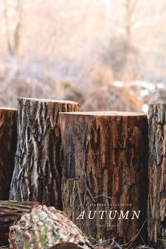Cover of 4 Seasons Collection Notebook: Autumn: Wood, 6 X 9 Inches (110 Pages)