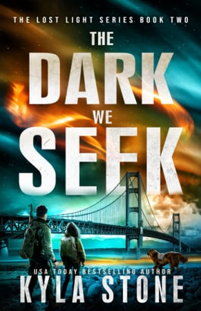 Cover of The Dark We Seek