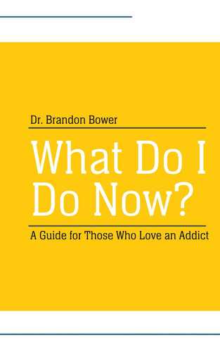 Cover of What Do I Do Now: A Guide for Those Who Love an Addict