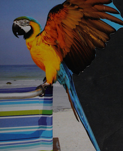 Cover of Winging It