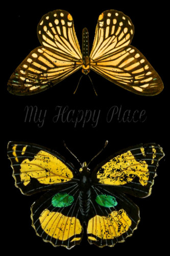 Cover of Black Butterfly Journal