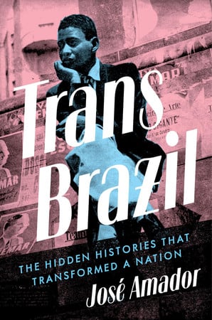 Cover of Trans Brazil: The Hidden Histories That Transformed a Nation
