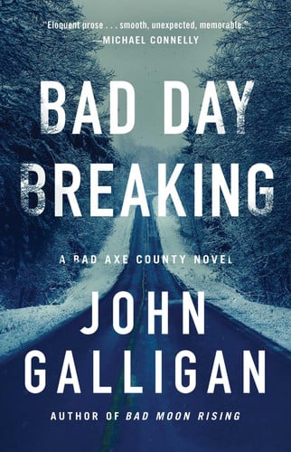 Cover of Bad Day Breaking