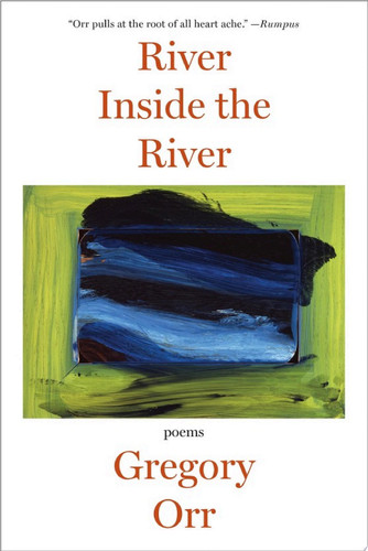 Cover of River Inside the River