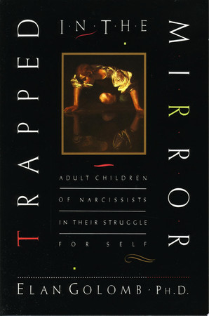 Cover of Trapped in the Mirror