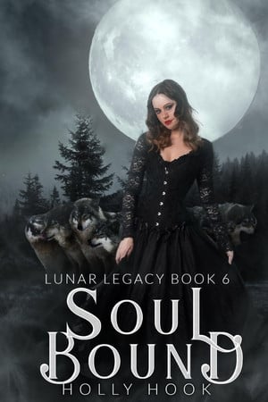 Cover of Soul Bound