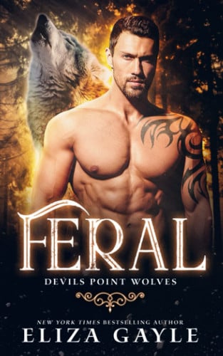 Cover of Feral: Wolf Shifter Romance (Devils Point Wolves)