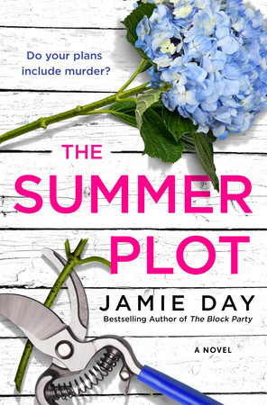 Cover of The Summer Plot